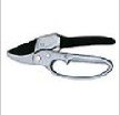 Pruning and Cutting Branch Scissors