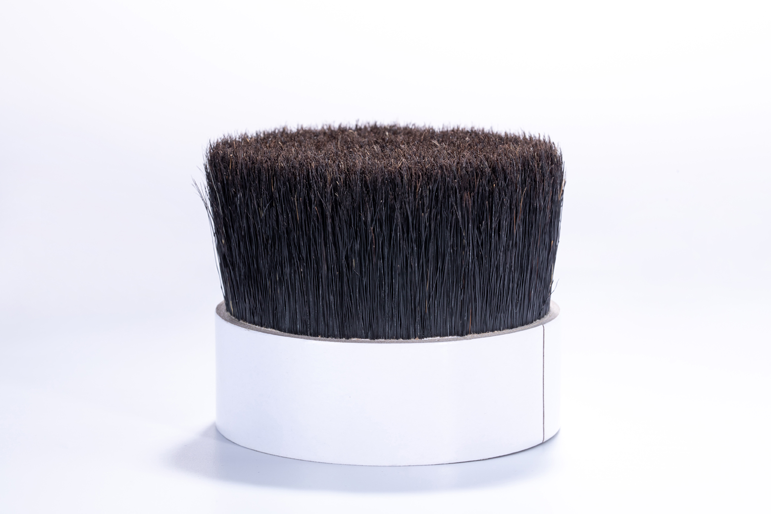 bristle - Image 2