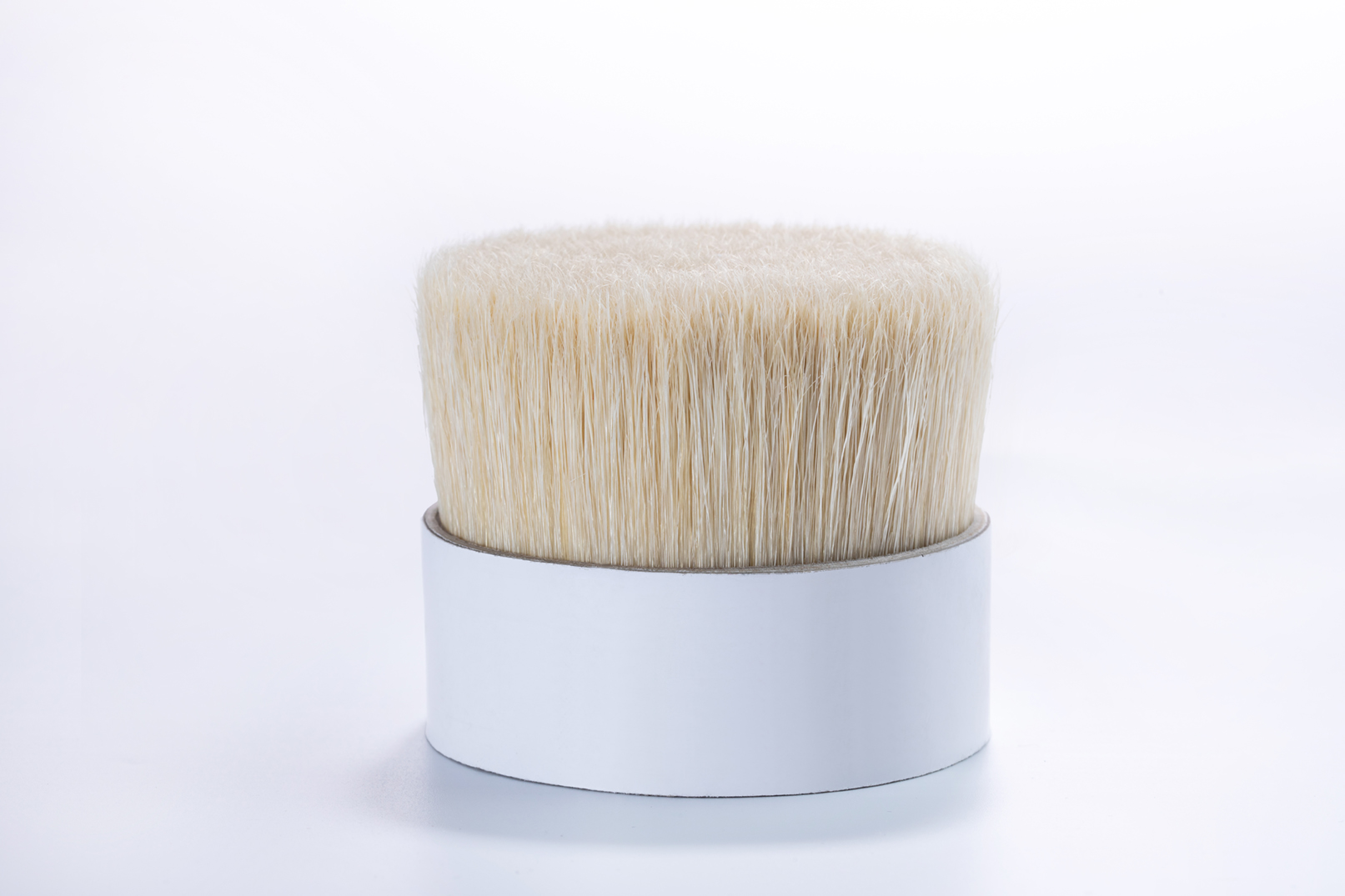 Dense Bristle Brush Head
