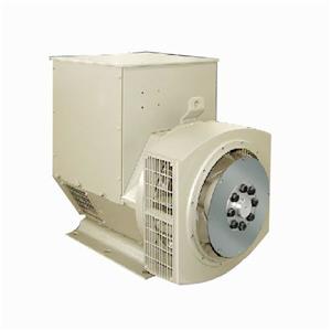 Brushless AC Synchronous Generator