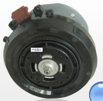 Brushless DC Motor