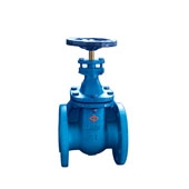 BS5150 Non-Rising Stem Gate Valve