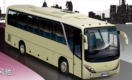 Passenger Bus for Urban and Long-Distance Transport