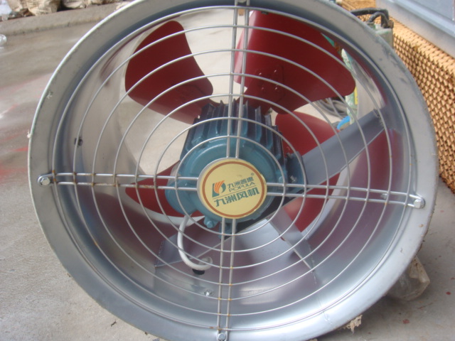 Butterfly Cone Fan for Ventilation