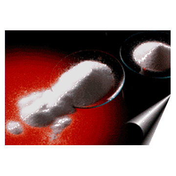 Butylated Hydroxy Toluene (BHT) - Synthetic Antioxidant
