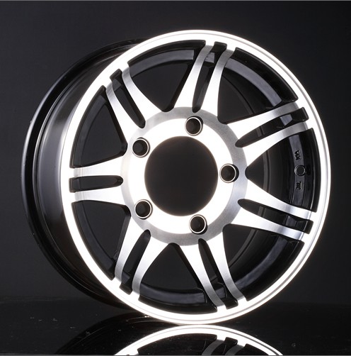 Multi-Spoke Alloy Wheel