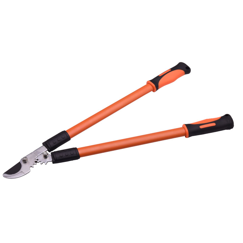 Bypass Lopping Pruner for Branches and Stems