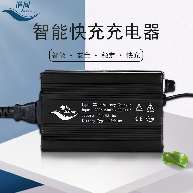 C300 lifepo4 battery charger 29.2V 8S 24V 10A - Image 3