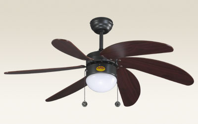 Indoor Ceiling Fan with Light