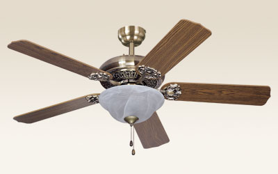Indoor Ceiling Fan with Light