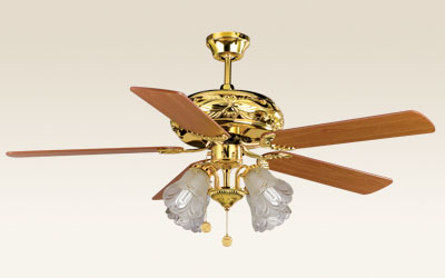 Indoor Ceiling Fan with Light