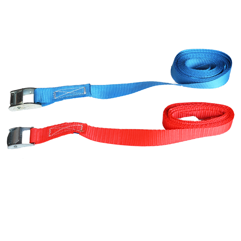 CAM BUCKLE TIE DOWN - Image 2