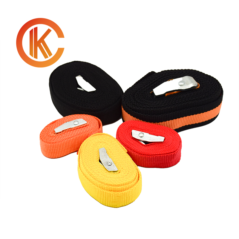 CAMBUCKLE - Image 3