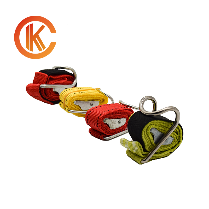 CAMBUCKLE - Image 2