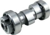 Automotive Engine Camshaft
