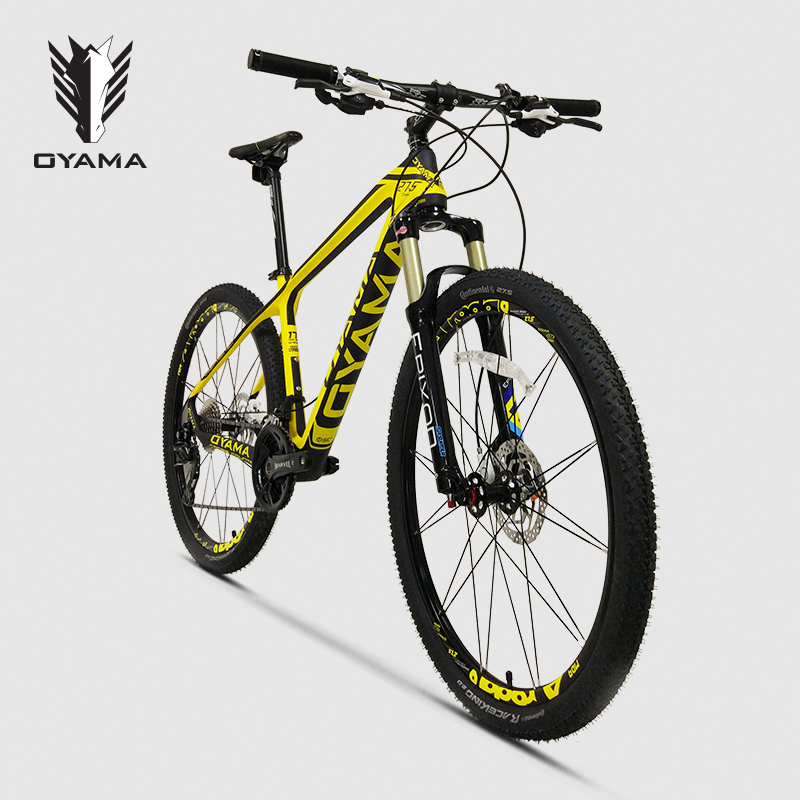 Carbon bicycle hydraulic disc brake carbon fiber mtb bicicletas de montana Oyama bike - Image 2