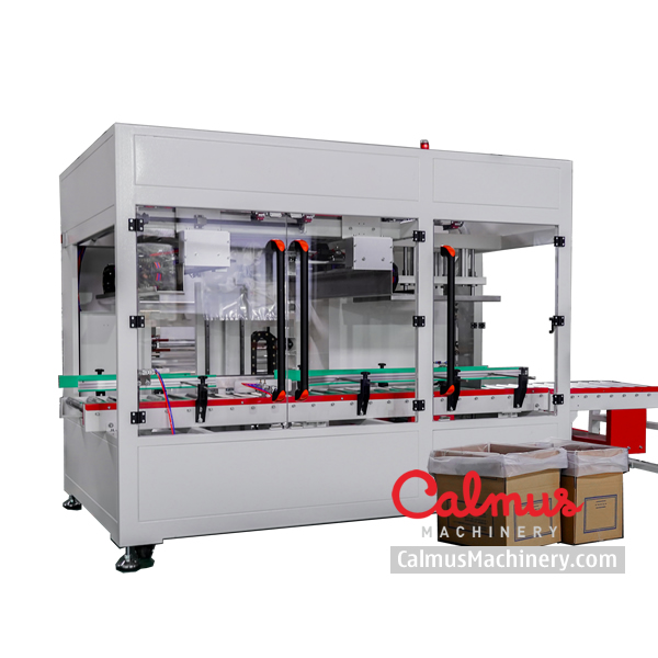 Carton Box Liner Bag Placing Machine - Image 2