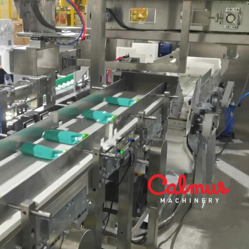 Carton Packaging Machine for Case Packing Doypack Pouches - Image 3