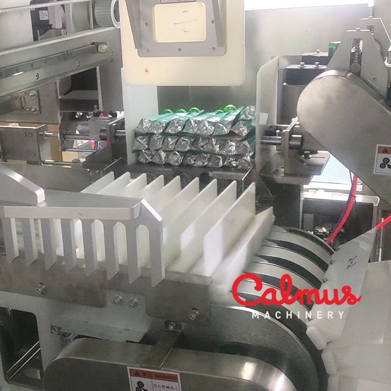 Carton Packaging Machine for Case Packing Doypack Pouches - Image 2