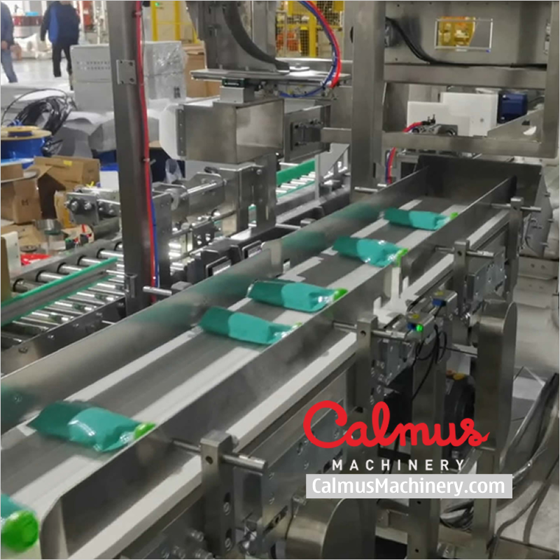 Case Packer Pouch Cartoning Line for Packaging Doypack Bags - Image 3