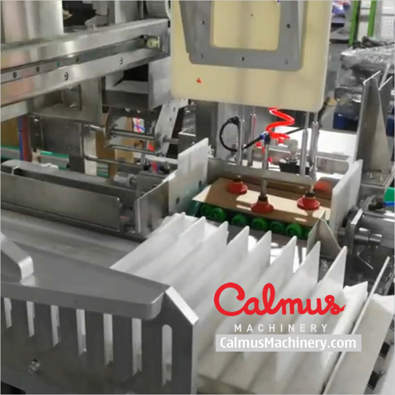 Case Packer Pouch Cartoning Line for Packaging Doypack Bags - Image 2