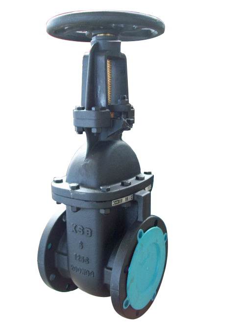 cast iron gate valve OS&Y - Image 3