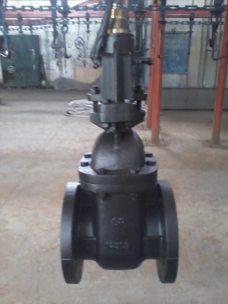 cast iron gate valve OS&Y - Image 2