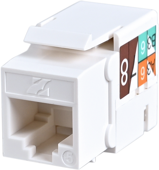 CAT5e Unshielded Network Module