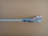 Shielded Category 6 Ethernet Cable