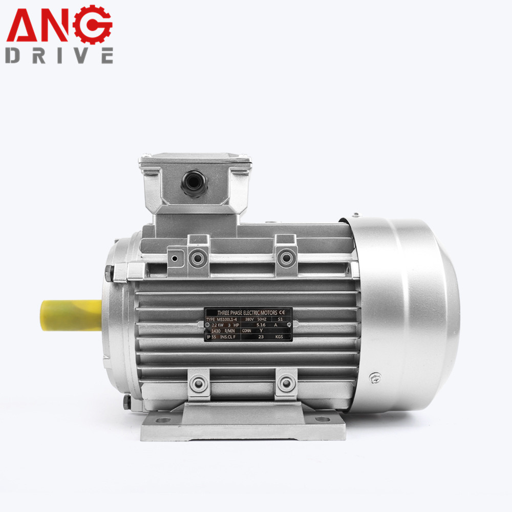 CE IE2 IE3 Y2 MS Induction Electric Motor IP55 for Fan Blower Compressor Pump - Image 3