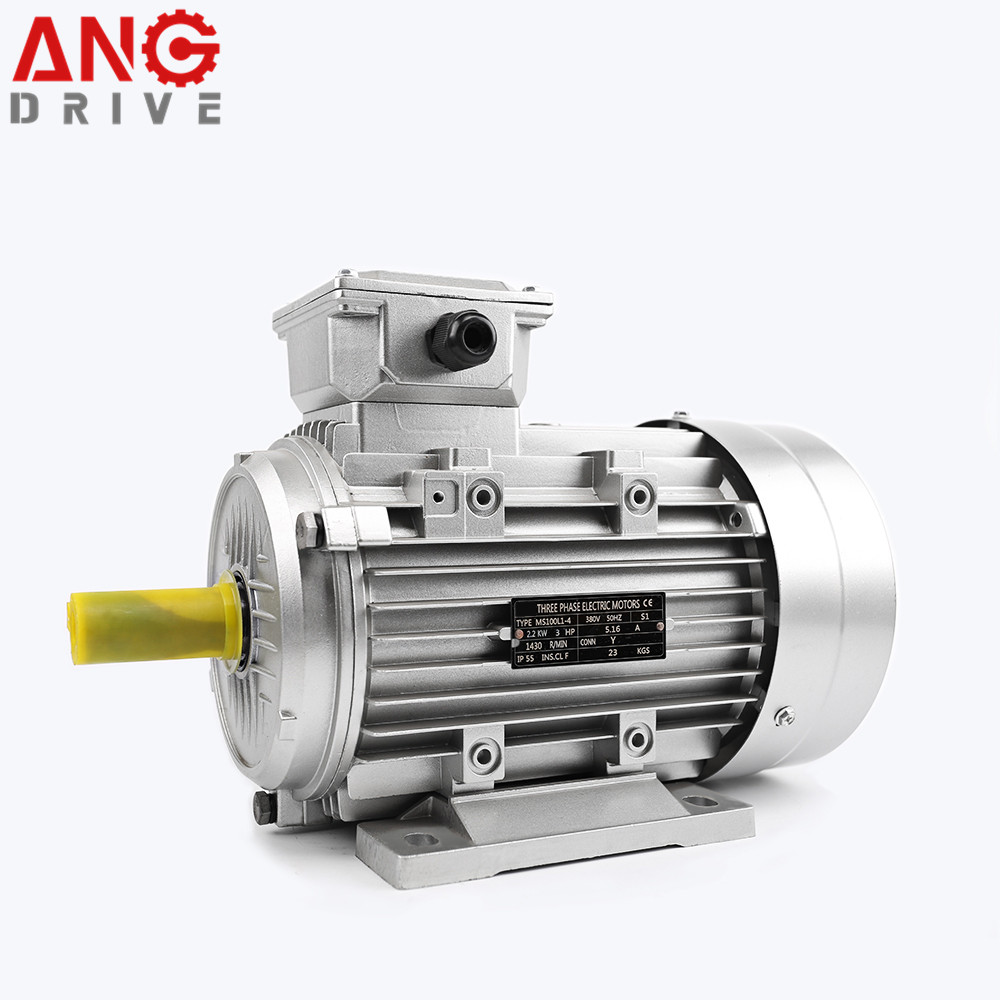 Three-Phase Induction Electric Motor for Industrial Applications