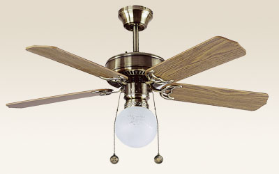 Indoor Ceiling Fan with Light
