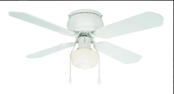 Indoor Ceiling Fan with Light