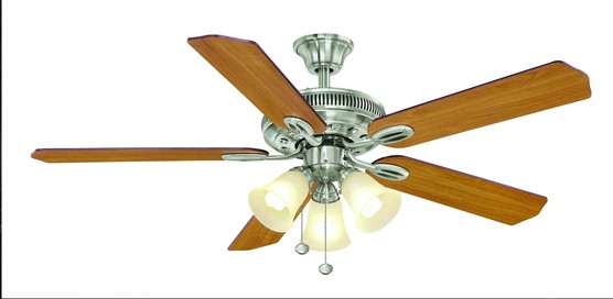 Indoor Ceiling Fan with Light