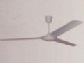 Indoor Ceiling Fan with Three Blades