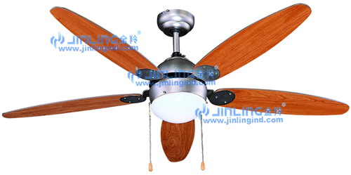 Indoor Ceiling Fan with Integrated Light