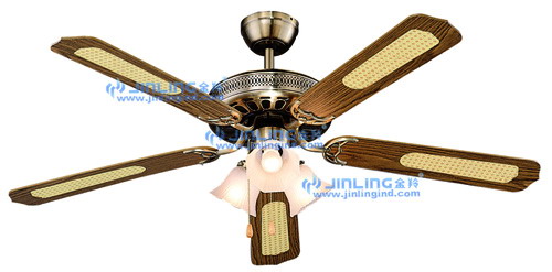Indoor Ceiling Fan with Light