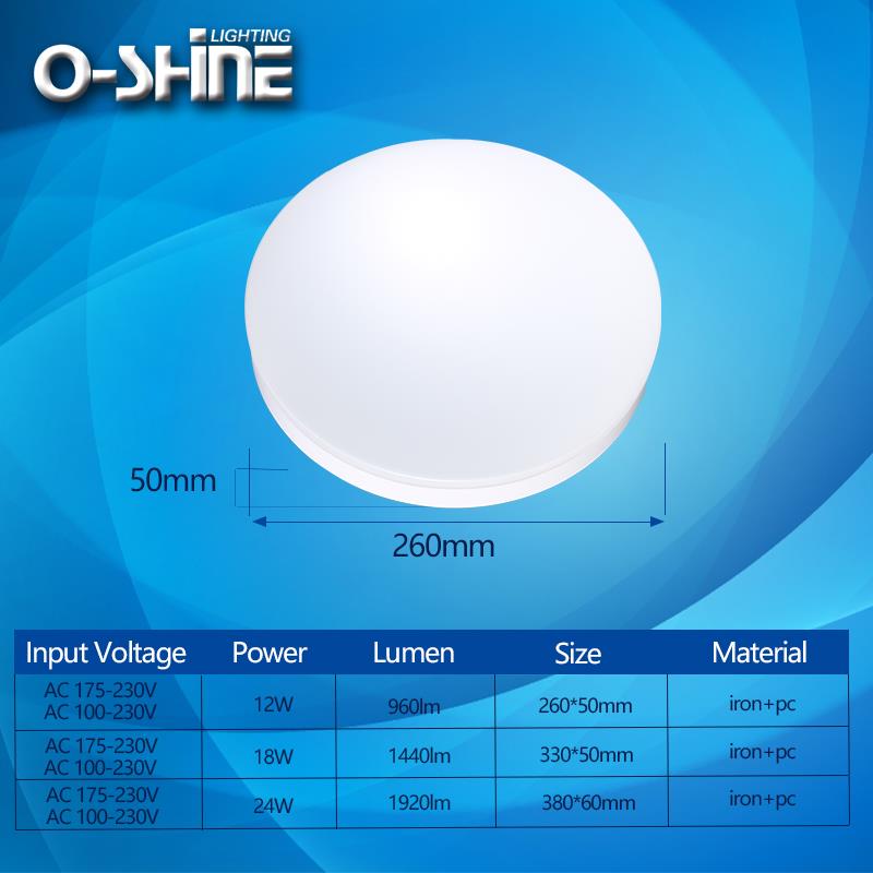 Flush Mount Ceiling Lamp