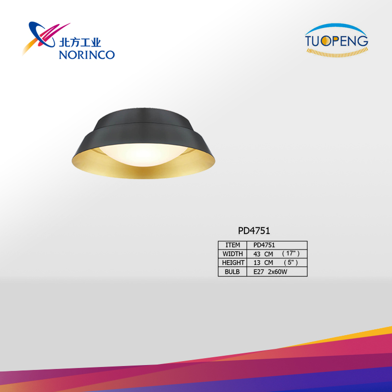 Black and Gold Finish Ceiling Light Fixture