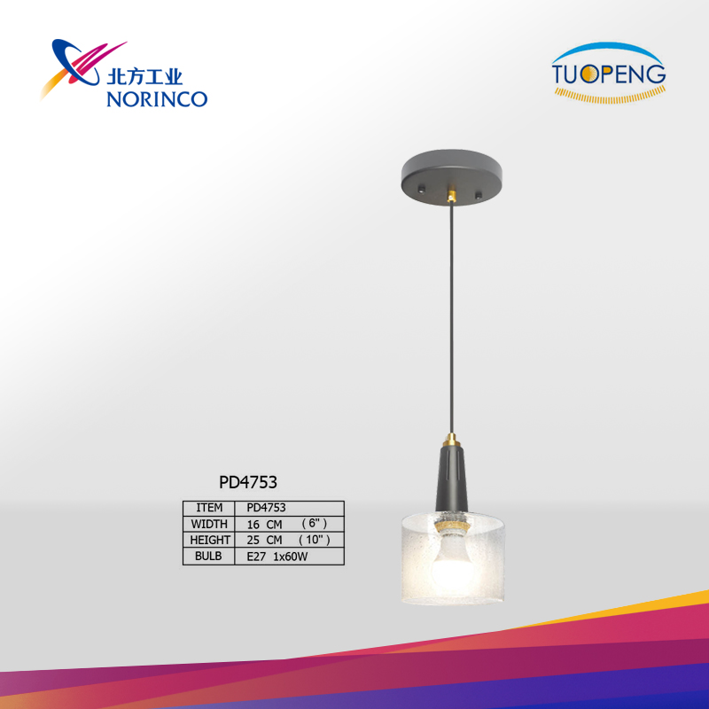 Textured Glass Pendant Light