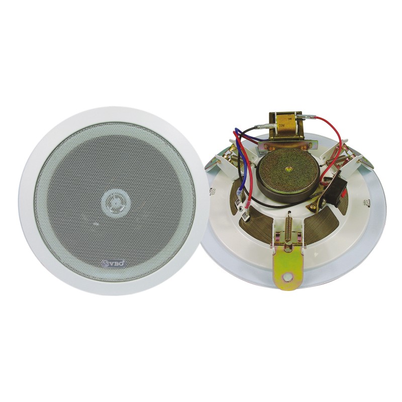 Flush Mount Ceiling Speaker for Audio Distribution
