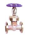 Industrial Globe Valve with Flanged Connection