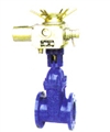 Centrifugal Pump