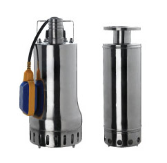 Submersible Stainless Steel Centrifugal Pump with Float Switch