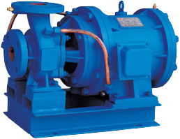Industrial Centrifugal Pump for Fluid Transfer