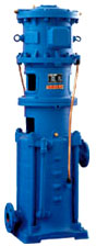 Vertical Multistage Centrifugal Pump