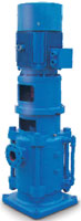 Vertical Multistage Centrifugal Pump