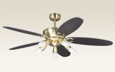 Polished Brass Ceiling Fan with Light