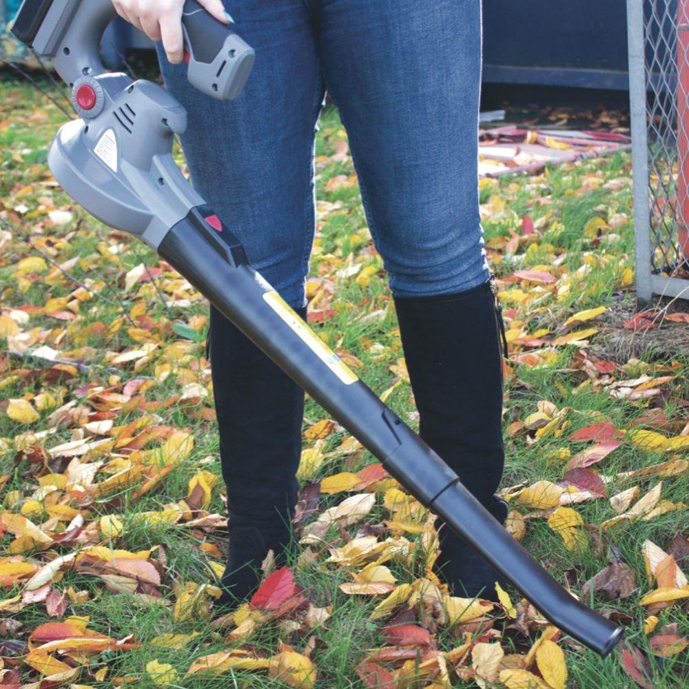 Full view of the cordless leaf blower