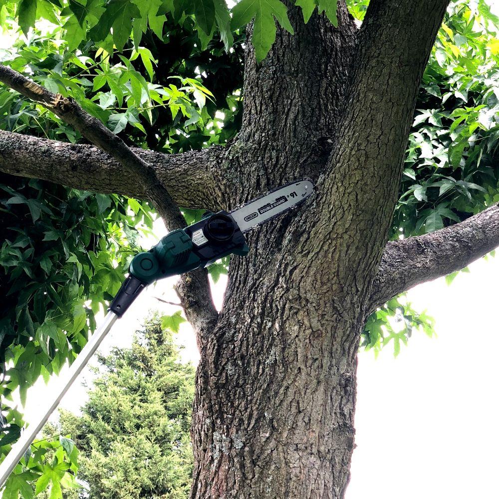 Chainsaw head detail showing the Oregon Double Guard bar